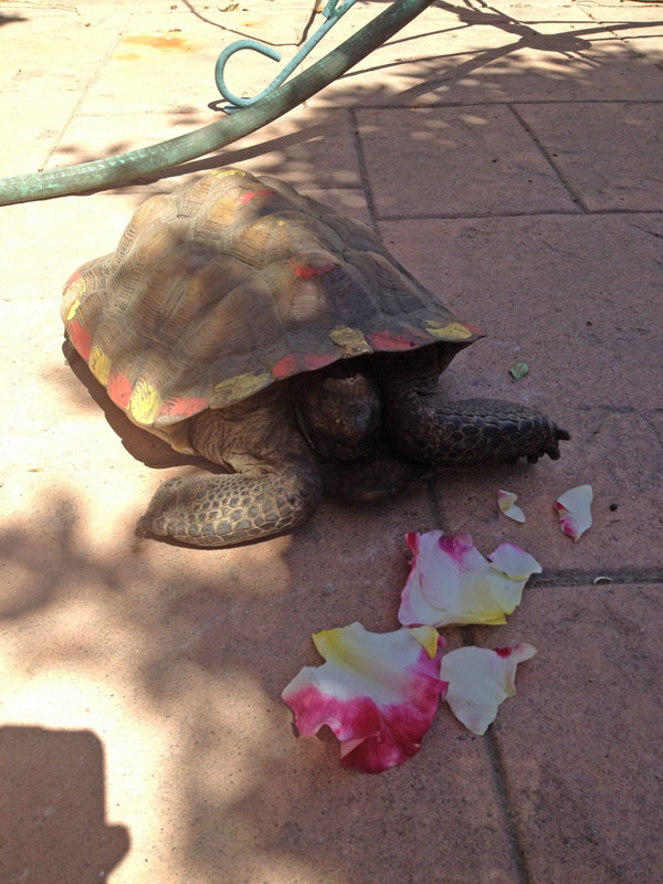 Augustus has Woken Up! photo